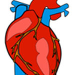 connection between nafld and hypertension