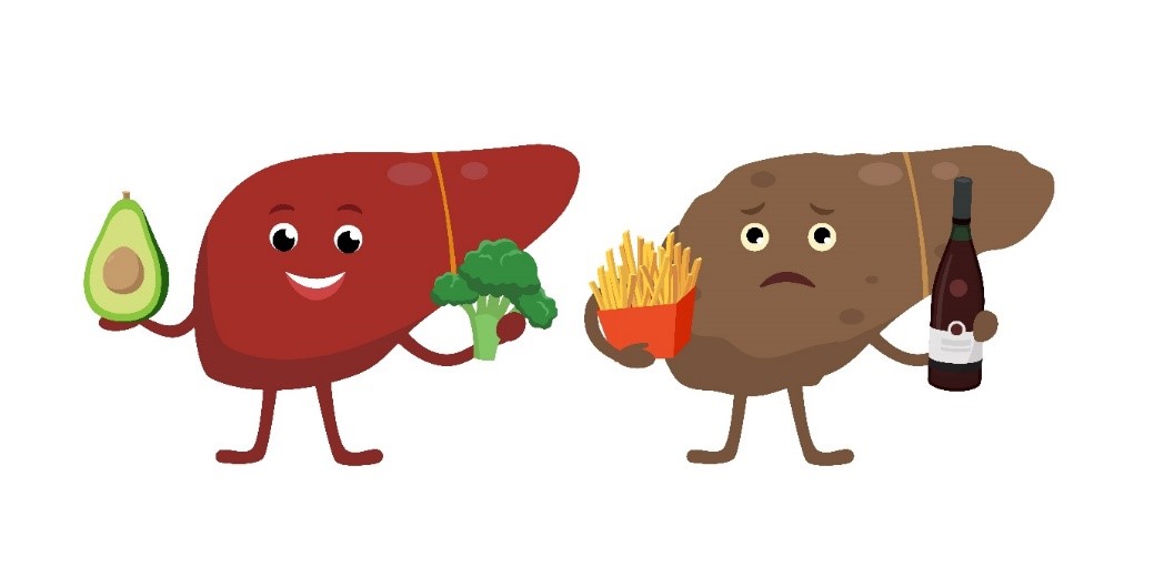 What are the signs of a healthy liver?